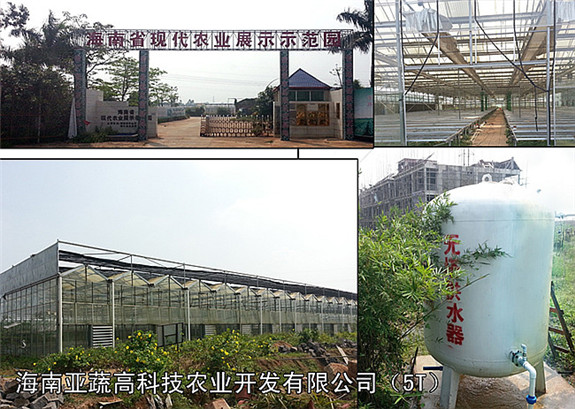 海南亞蔬高科技農業(yè)開發(fā)有限公司（5TX1）