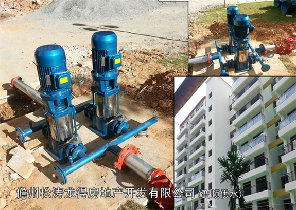 儋州市松濤龍得房地產開發(fā)有限公司（變頻供水器）