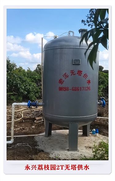 2022.2.11永興荔枝園2T無塔